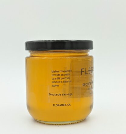 miel de moutarde sauvage vue latérale